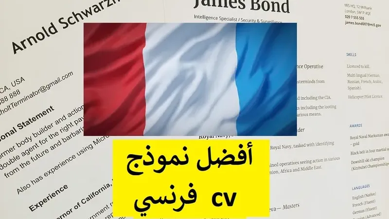 نموذج سيرة ذاتية باللغة الفرنسية + تحميل ملف وورد cv فرنسي قابل للتعديل