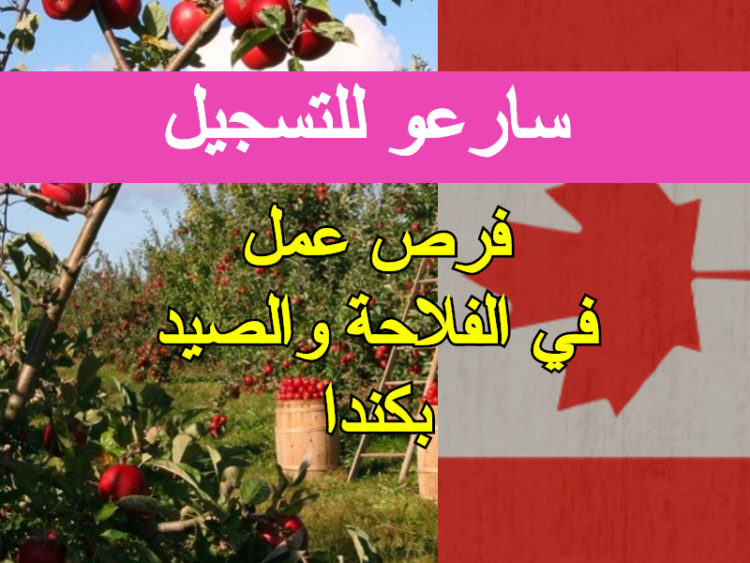 وظائف عمل في كندا