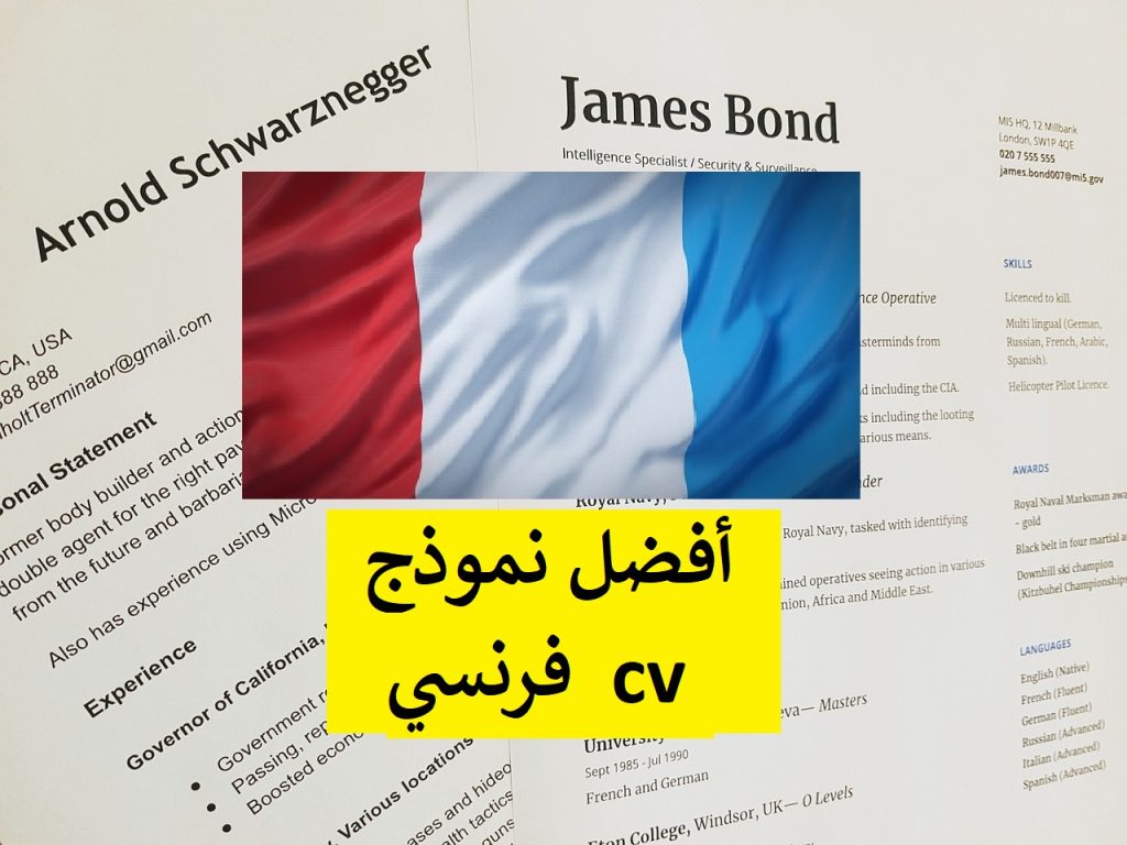 نموذج سيرة ذاتية باللغة الفرنسية + تحميل ملف وورد cv فرنسي قابل للتعديل